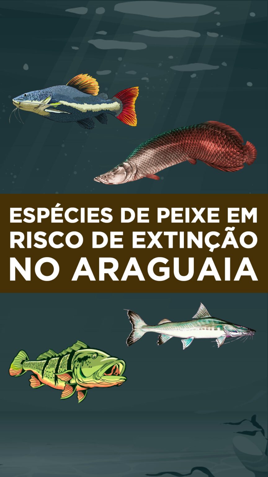 7 tipos de peixe em risco de extinção no Araguaia Blog do Pescador