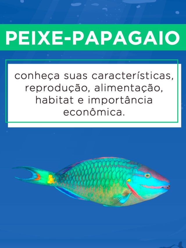 Peixe Papagaio Caracter Sticas Reprodu O Alimenta O Habitat E