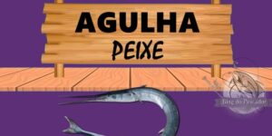 Peixe agulha