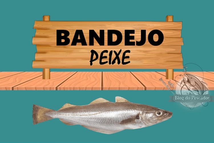 Bandejo peixe