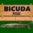 Bicuda peixe
