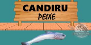 Candiru peixe