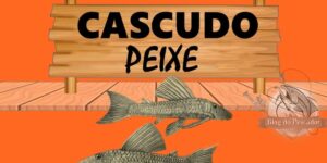 Cascudo peixe