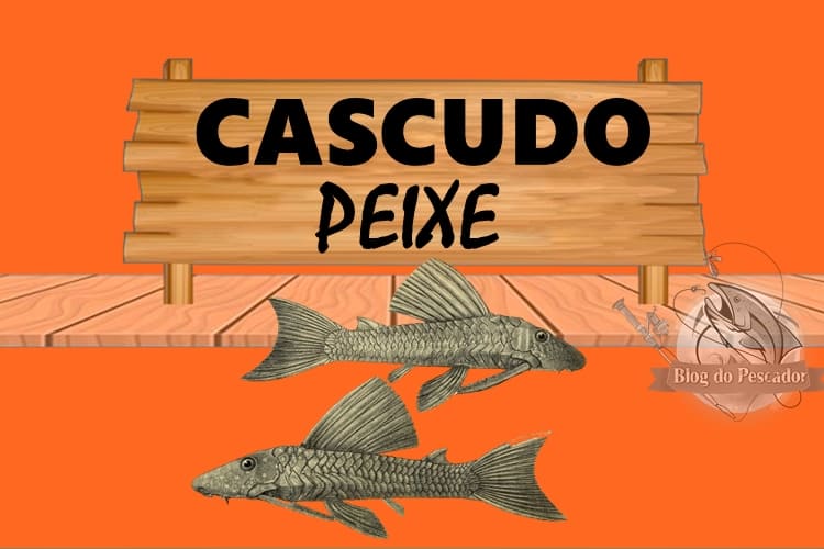 Cascudo peixe