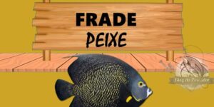 Frade peixe