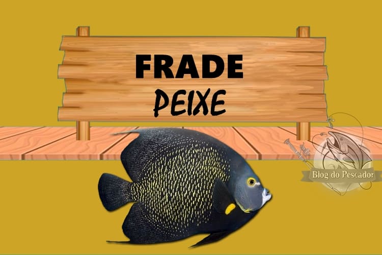 Frade peixe