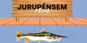 Jurupensem peixe