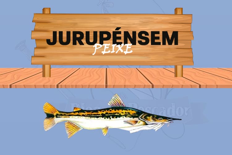 Jurupensem peixe