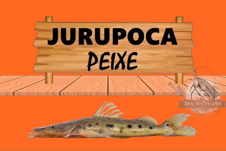 Jurupoca peixe