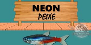 Neon peixe