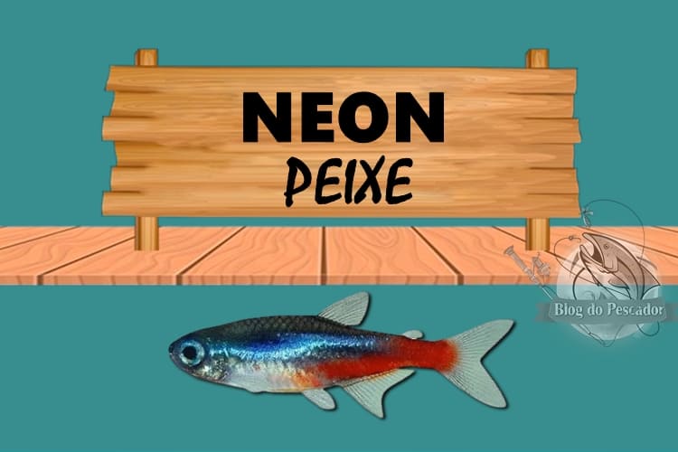 Neon peixe