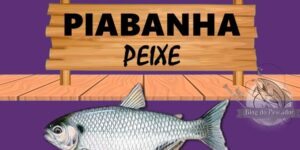 Piabanha peixe