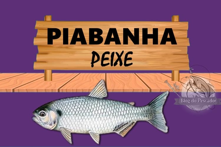 Piabanha peixe