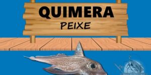 Quimera peixe