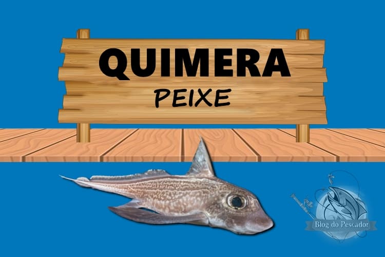 Quimera peixe