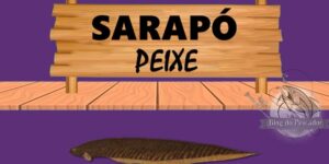 Sarapo peixe