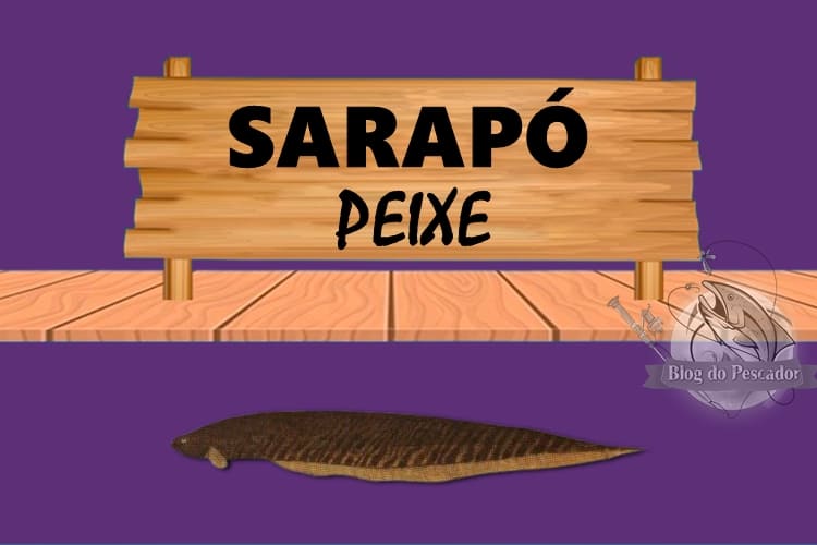 Sarapo peixe