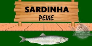 Sardinha peixe