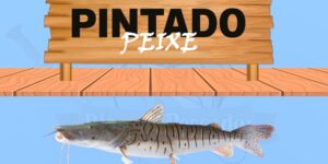 Surubim pintado peixe