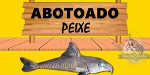 Abotoado peixe