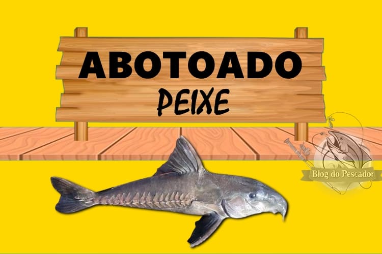 Abotoado peixe