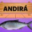andira