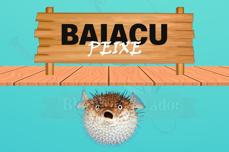 Baiacu peixe