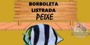 Borboleta listrado peixe