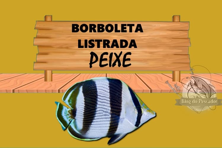 Borboleta listrado peixe