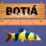 botia palhaço