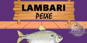 lambari peixe