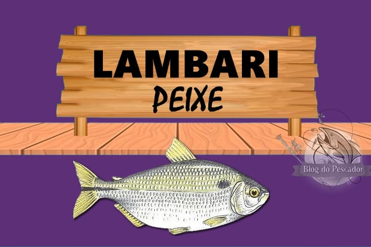 lambari peixe