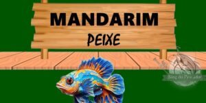 mandarim peixe