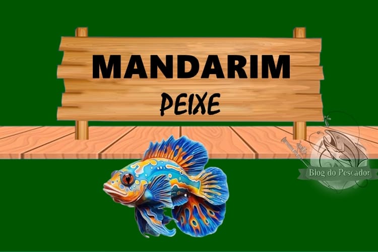 mandarim peixe