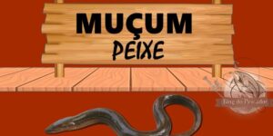 Muçum peixe