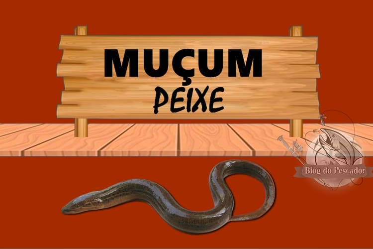 Muçum peixe