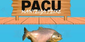 pacu manteiga