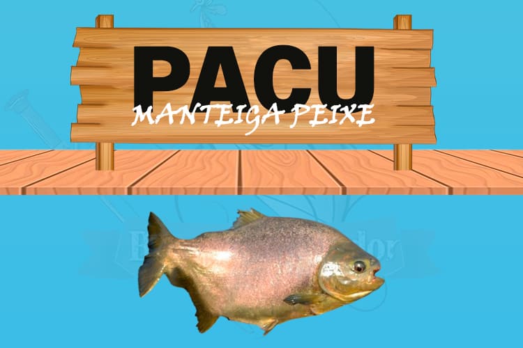 pacu manteiga