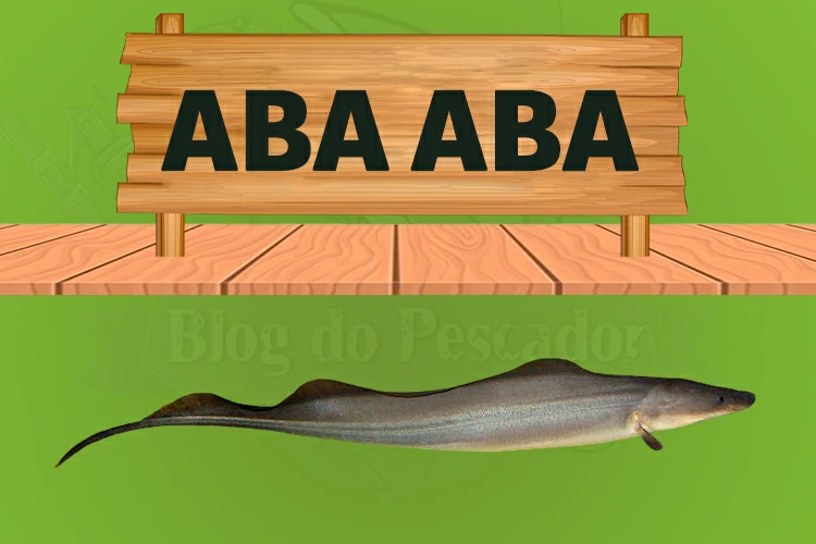 peixe aba aba