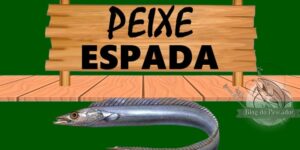 peixe espada