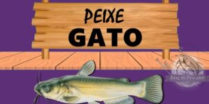 Peixe gato