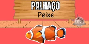 Peixe palhaço