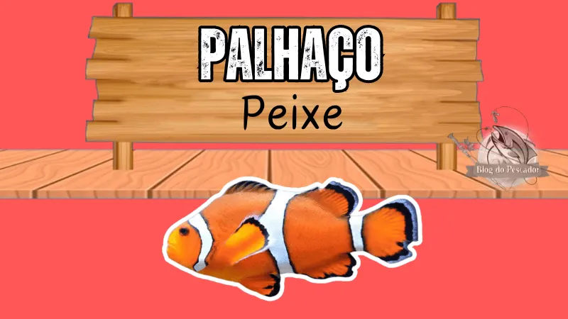 Peixe palhaço