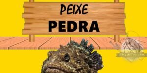 Peixe pedra