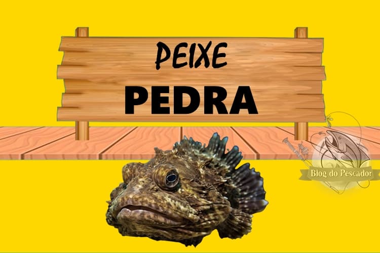 Peixe pedra