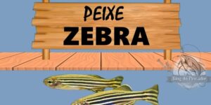 peixe zebra