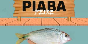 piaba peixe