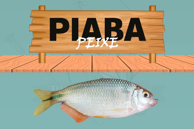 piaba peixe