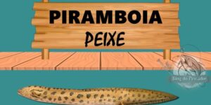 piramboia peixe