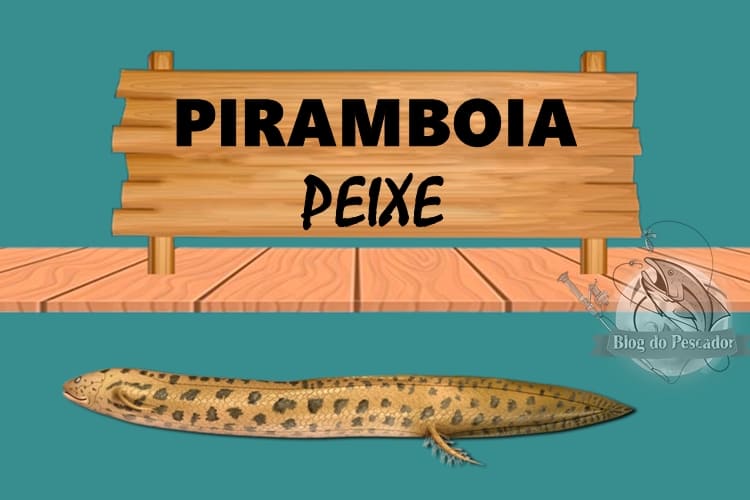 piramboia peixe